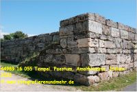 44989 16 055 Tempel, Paestum, Amalfikueste, Italien 2022.jpg